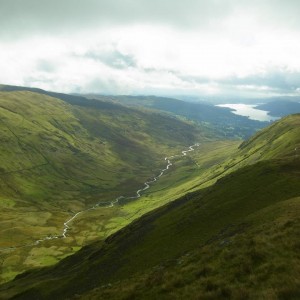 Fairfield Horseshoe