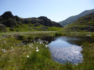 Pool below Moel Hebog