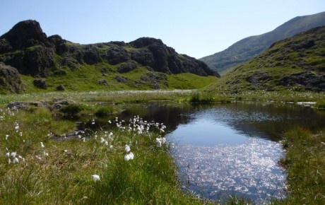 Pool below Moel Hebog