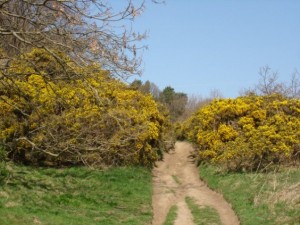 White to Dark Peak guided walk