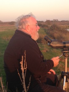 Birdwatching at Rye Harbour