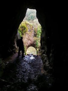 At the mouth of Reynard's cave, Dove Dale