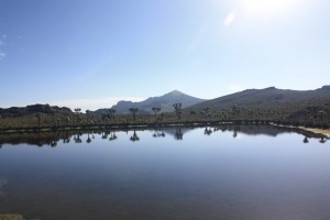 Optimized-IMG_5324