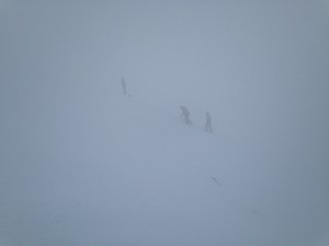 Optimized-IMG_6432